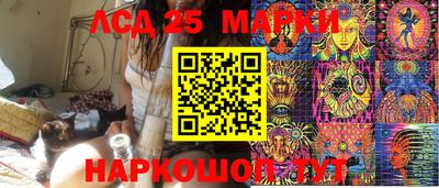 винт Донской