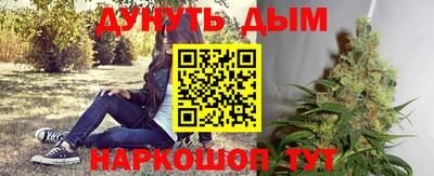 стафф Заводоуковск