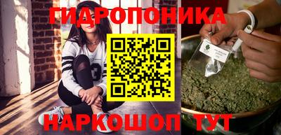 бошки Дубна