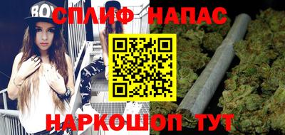бошки Дубна