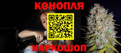 бошки Дубна