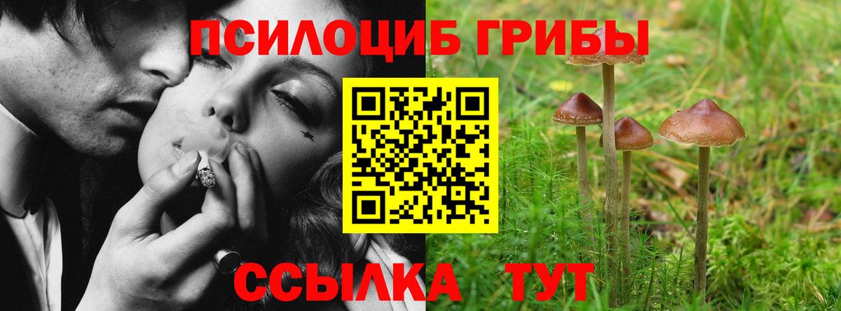 Галлюциногенные грибы Magic Shrooms Лесосибирск