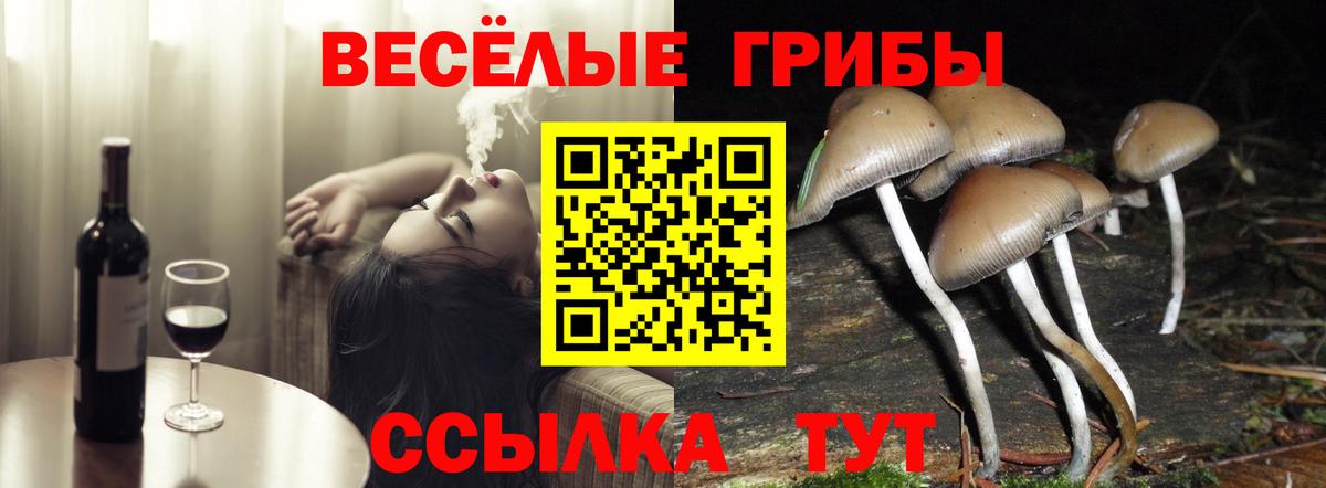 Галлюциногенные грибы Magic Shrooms  Галлюциногенные грибы мухоморы  Вход с VPN  Лесосибирск 